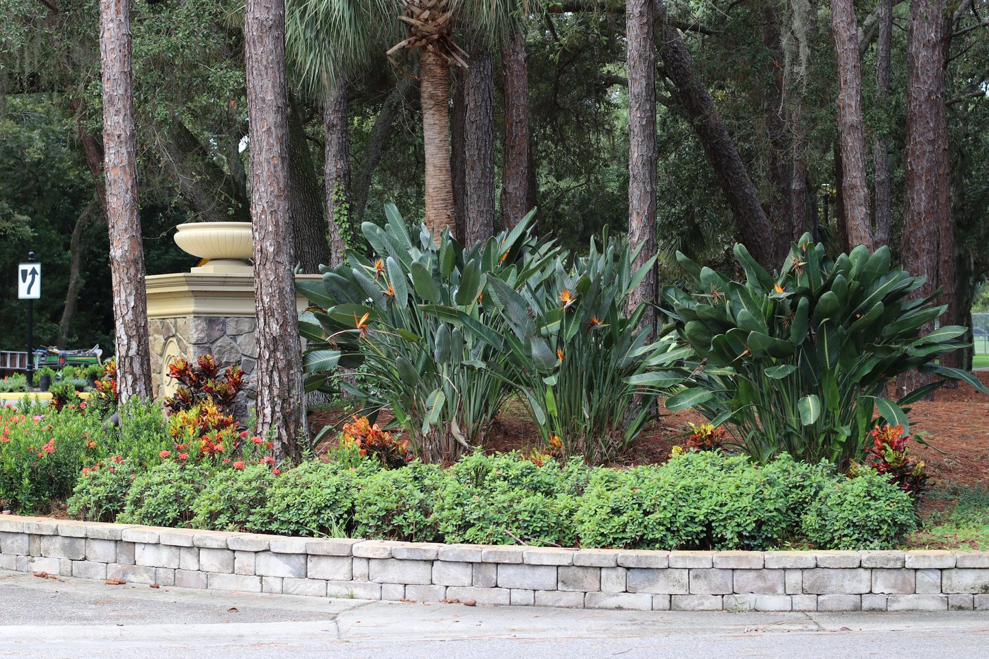 A Millennium crew in orange installing crotons and flowering shrubs across the beds and medians of a golf resort in Palm Harbor