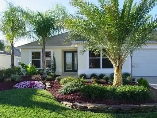Freshly planted shrubs and trees in a Tampa Bay landscape bed during late summer, with warm soil and healthy nursery-grown plants ready to root before the dry season