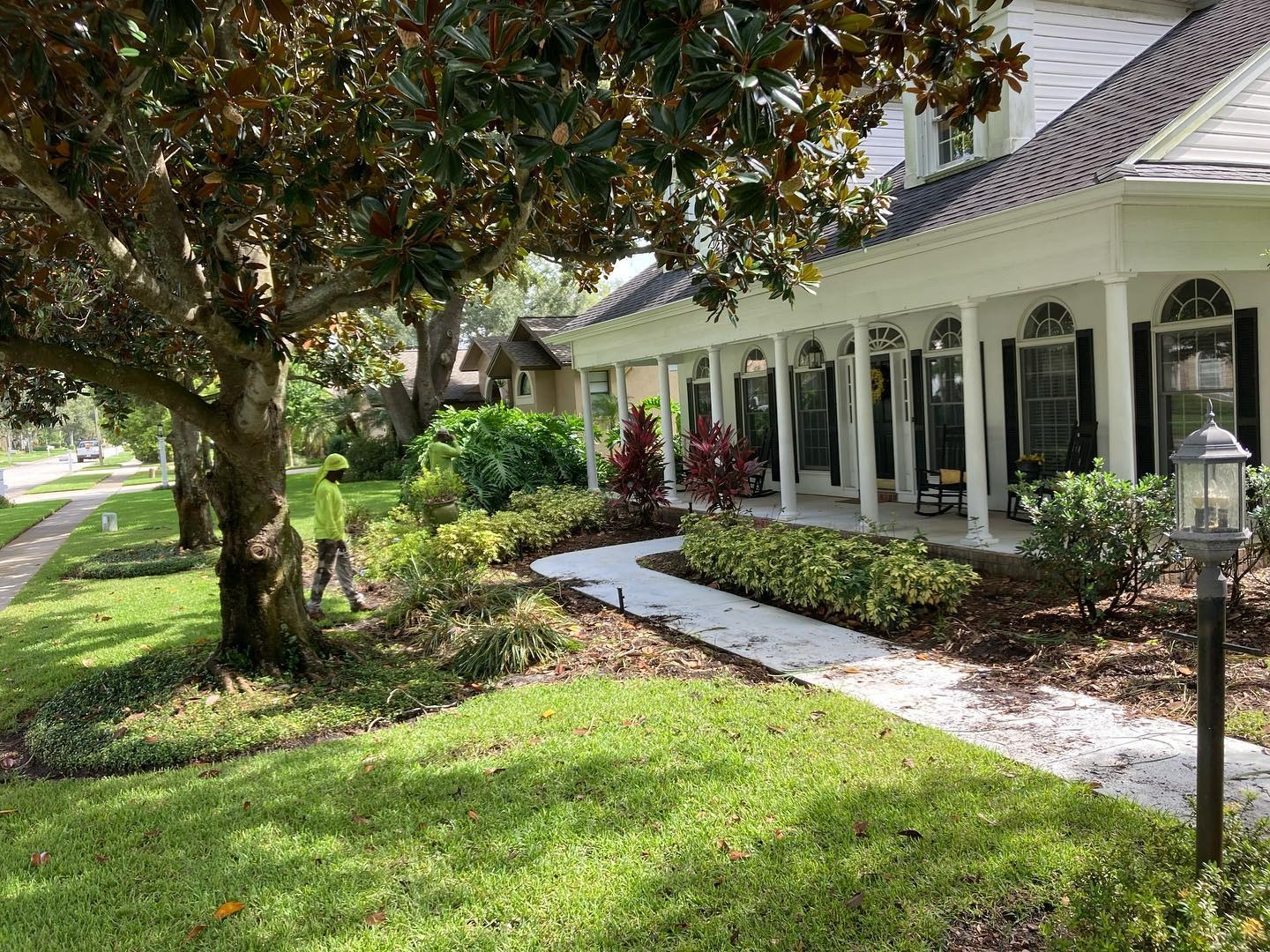 A whole-yard Tampa Bay landscaping design with layered plantings, paver patio, lighting and a tiki hut working together