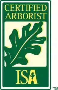 Certified Arborist on staff at Millennium Lawn, Landscape & Nursery, Odessa, FL