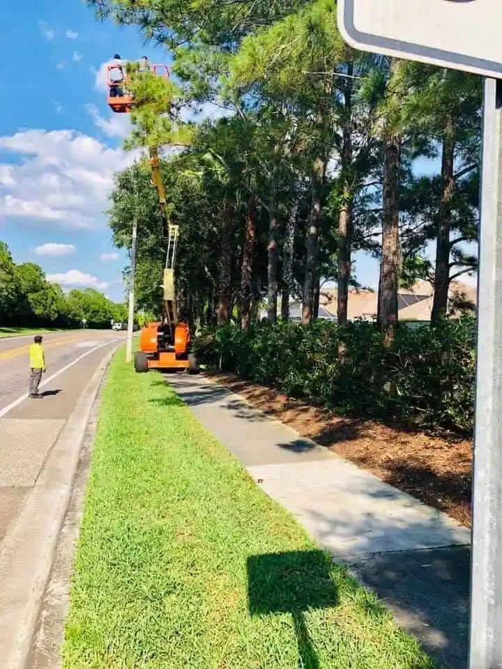 Commercial entry feature and seasonal color planting in Tampa Bay by Millennium Lawn, Landscape & Nursery