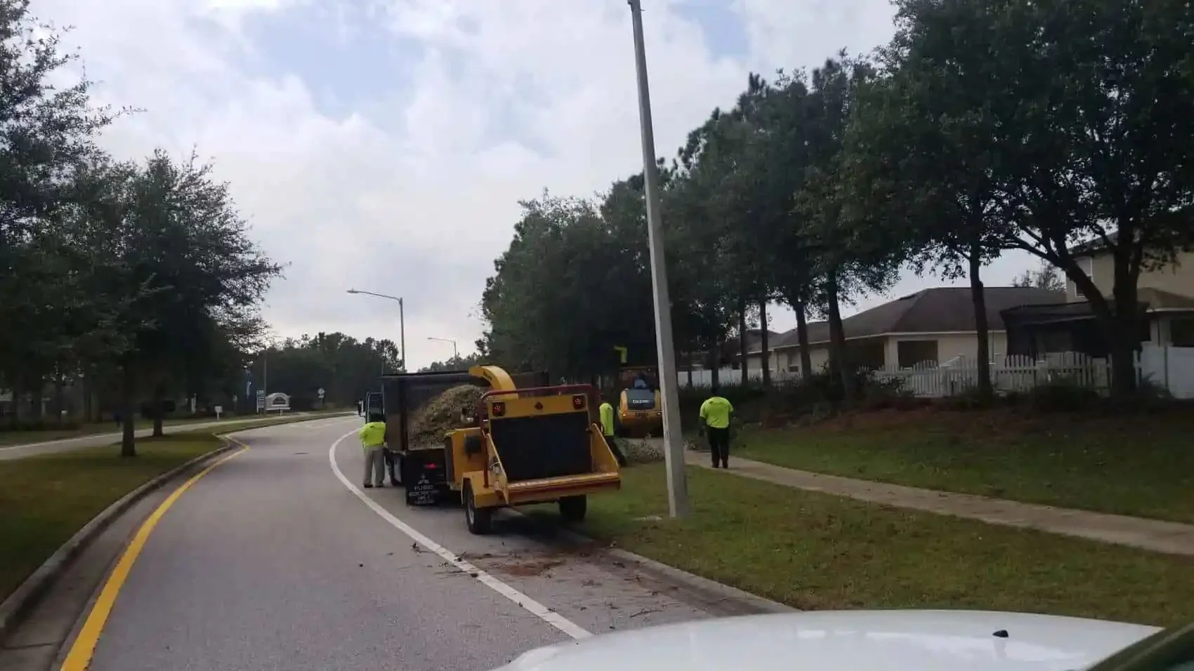 HOA community common-area landscaping in Greater Tampa Bay by Millennium Lawn, Landscape & Nursery