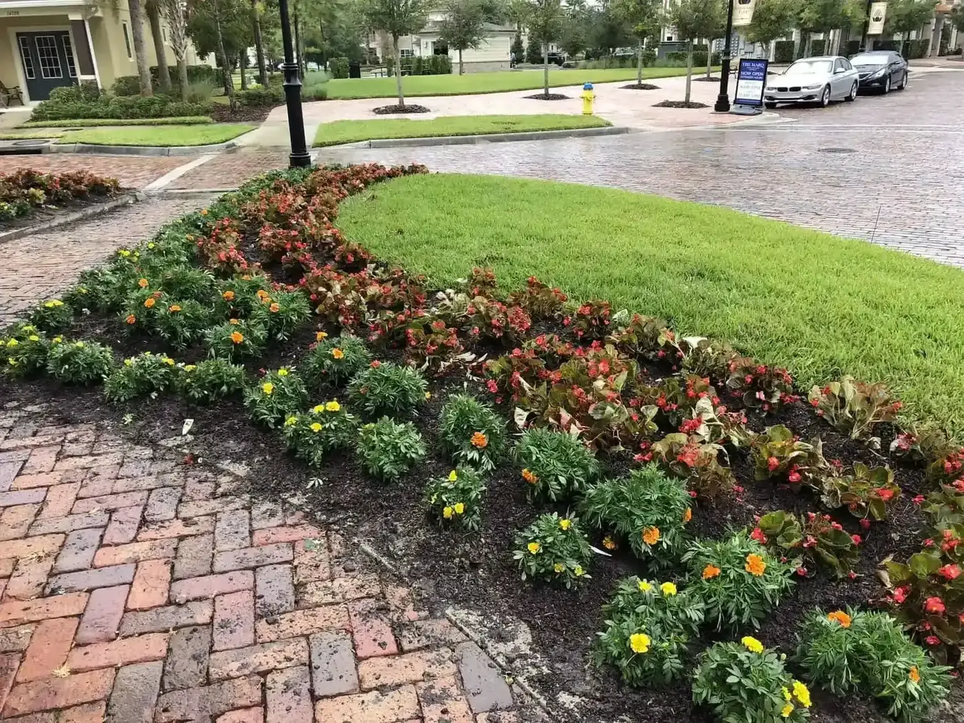 Well-maintained commercial property landscape with manicured turf, trimmed hedges and clean bed edging in Tampa Bay