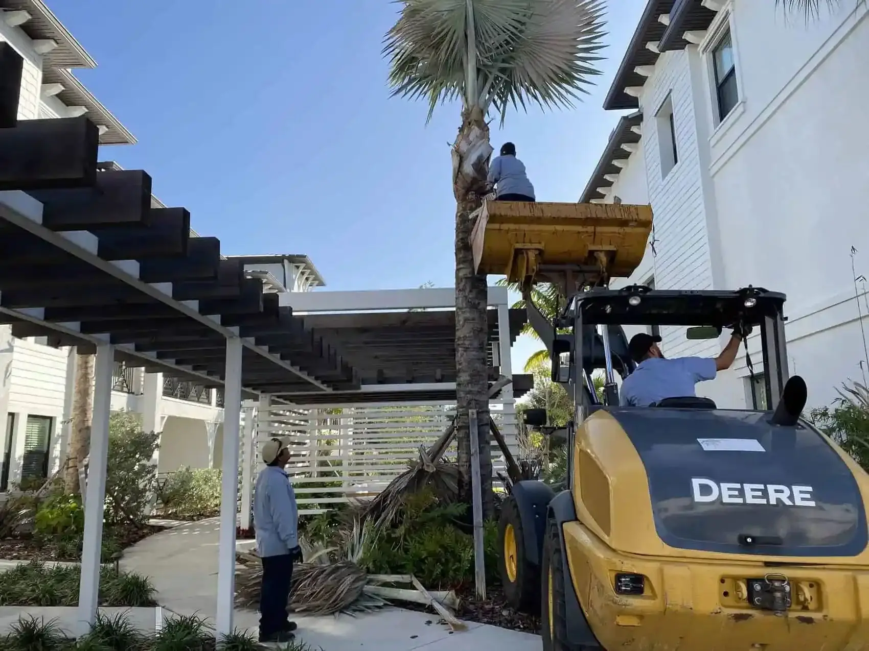 Office park grounds maintenance in Greater Tampa Bay by Millennium Lawn, Landscape & Nursery