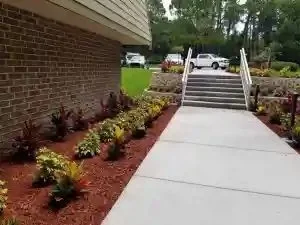 Retail center landscape design and installation in Tampa Bay by Millennium Lawn, Landscape & Nursery