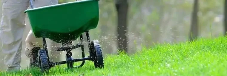 Fertilization treatment on Tampa Bay lawn