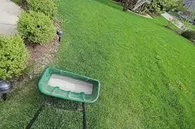 Lawn pest control application in Odessa, FL