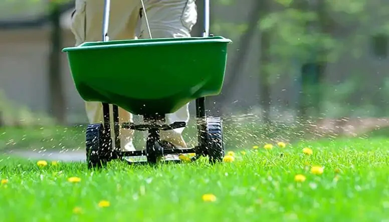 Lawn fertilization service Tampa Bay