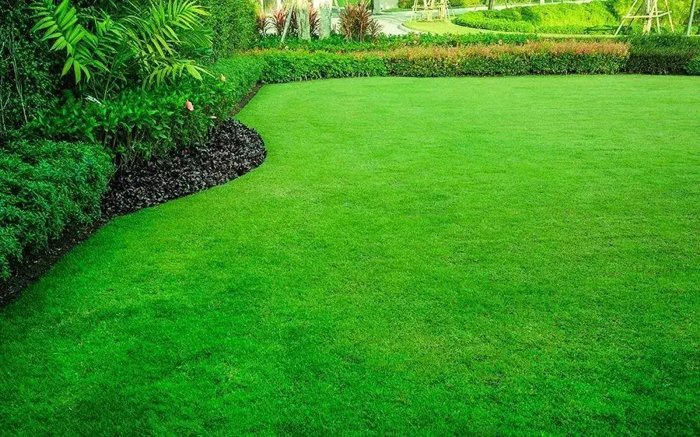 Healthy green Florida lawn with crisp edges and full landscape beds, kept up by a professional maintenance team