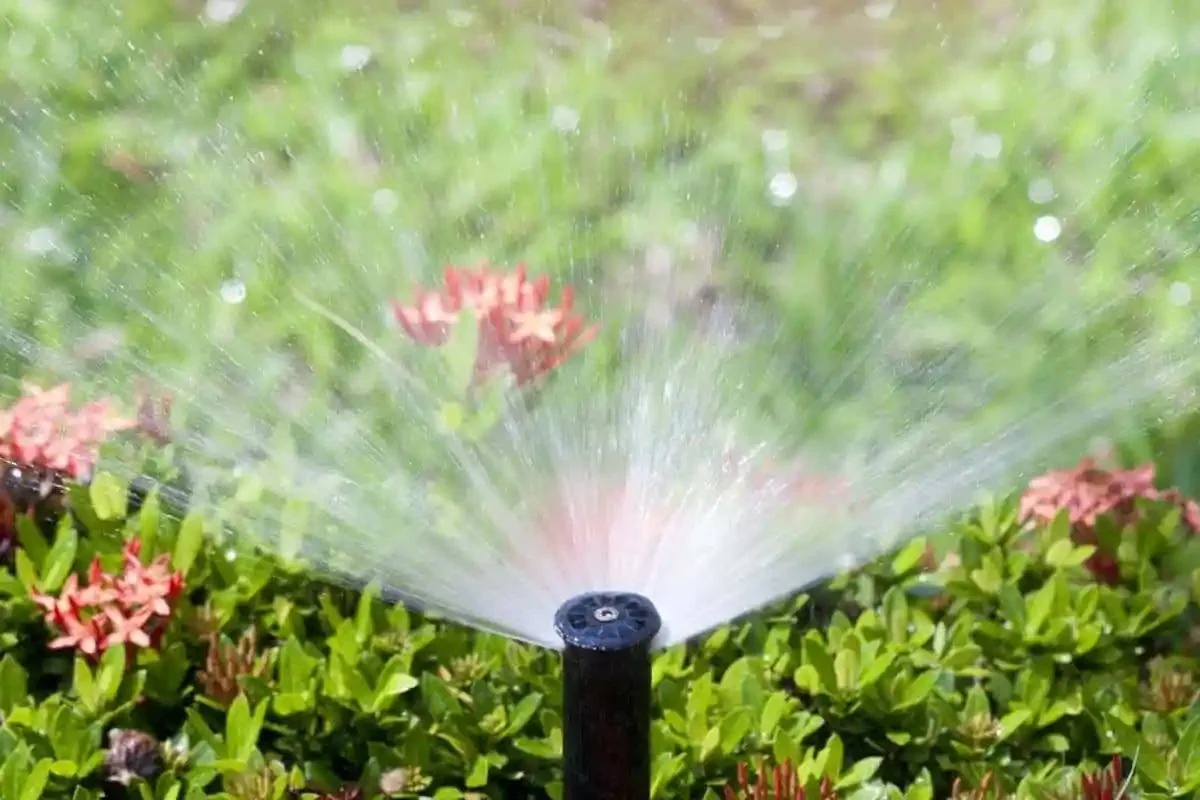 Irrigation & drainage project in Greater Tampa Bay by Millennium Lawn, Landscape & Nursery
