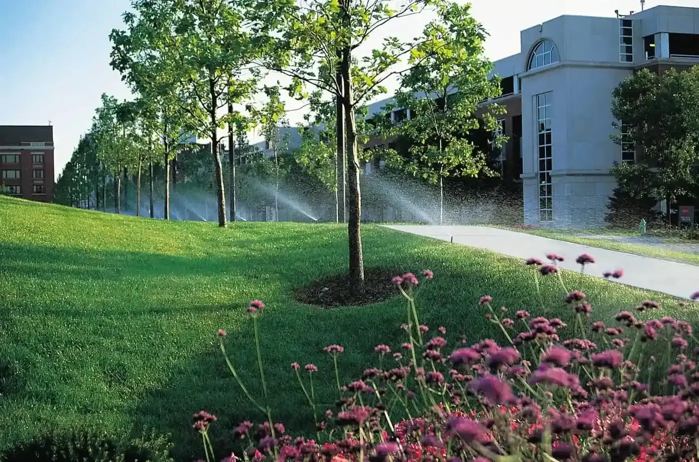 French drain installation Tampa Bay by Millennium Lawn