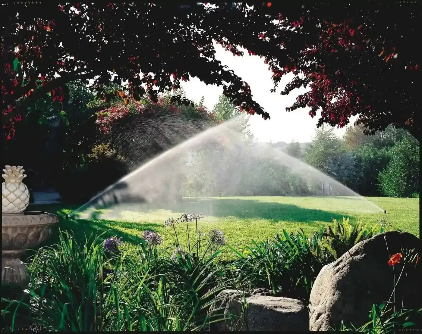 Irrigation & drainage project in Greater Tampa Bay by Millennium Lawn, Landscape & Nursery