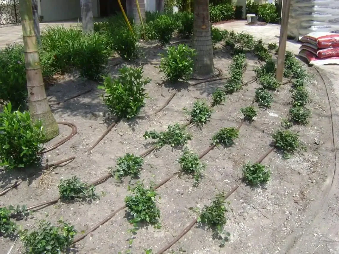 Irrigation & drainage project in Greater Tampa Bay by Millennium Lawn, Landscape & Nursery