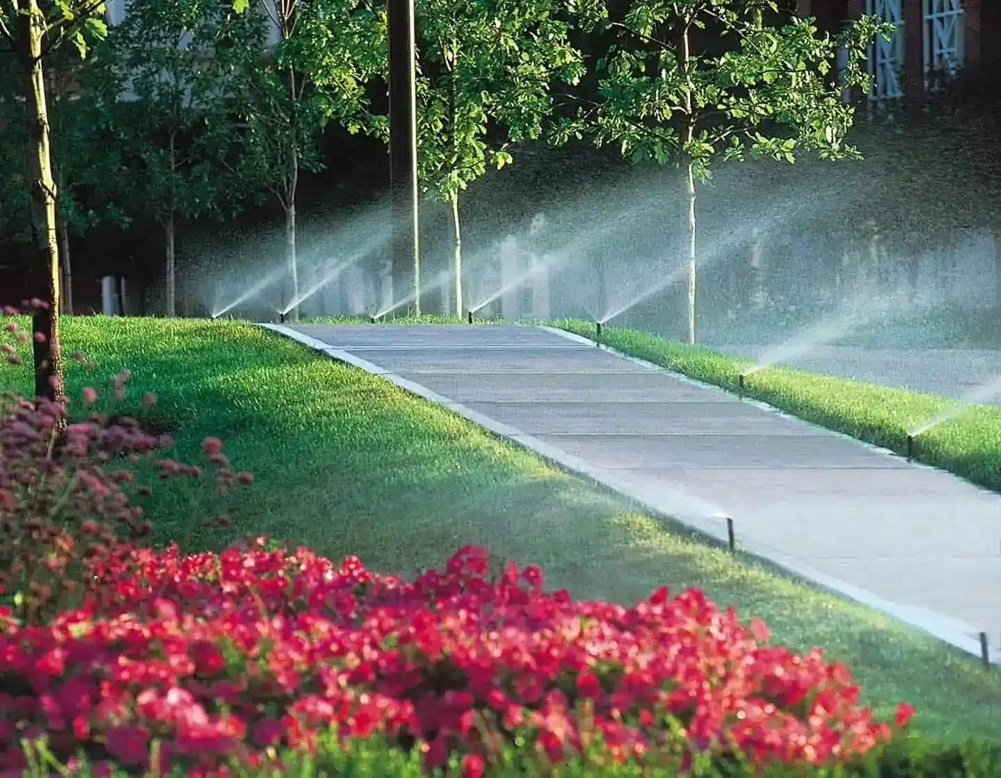 Irrigation system installation Tampa Bay by Millennium Lawn