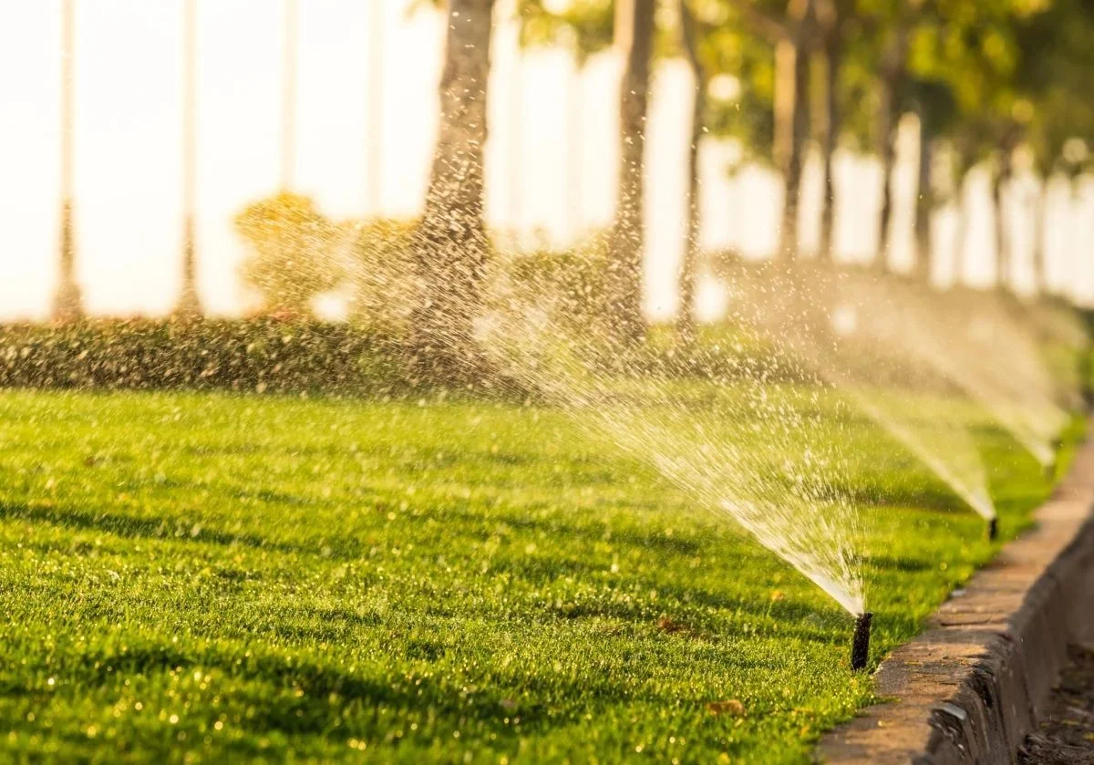 Irrigation & drainage project in Greater Tampa Bay by Millennium Lawn, Landscape & Nursery