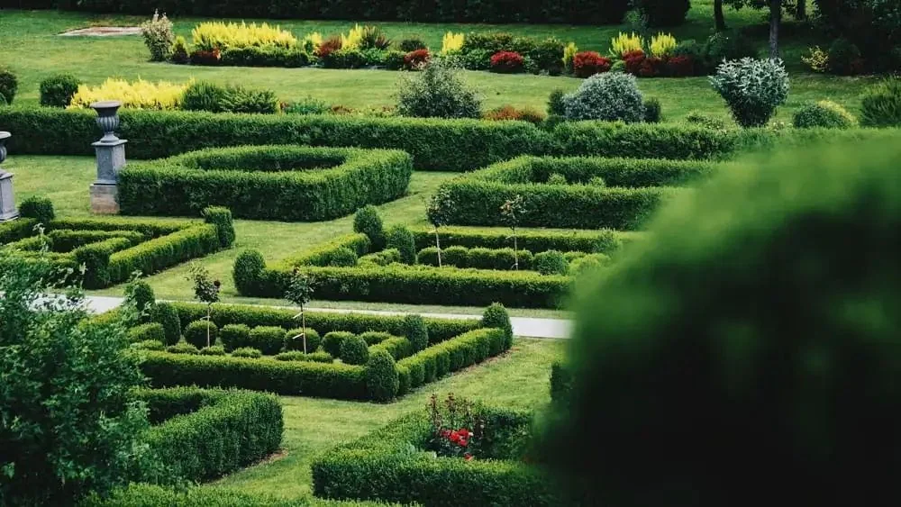 An established Millennium landscape with mature plantings in Greater Tampa Bay