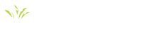 Millennium Lawn, Landscape and Nursery