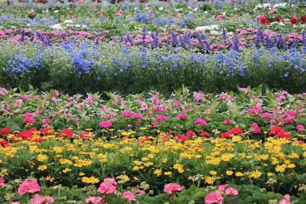 Plants, palms and garden décor on the nursery grounds