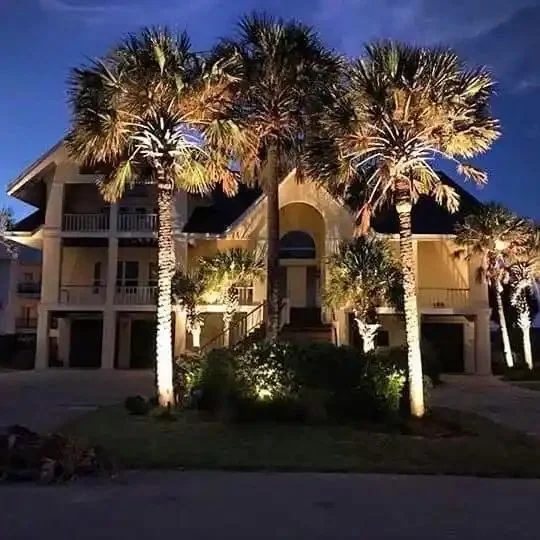 Outdoor lighting project in Greater Tampa Bay by Millennium Lawn, Landscape & Nursery
