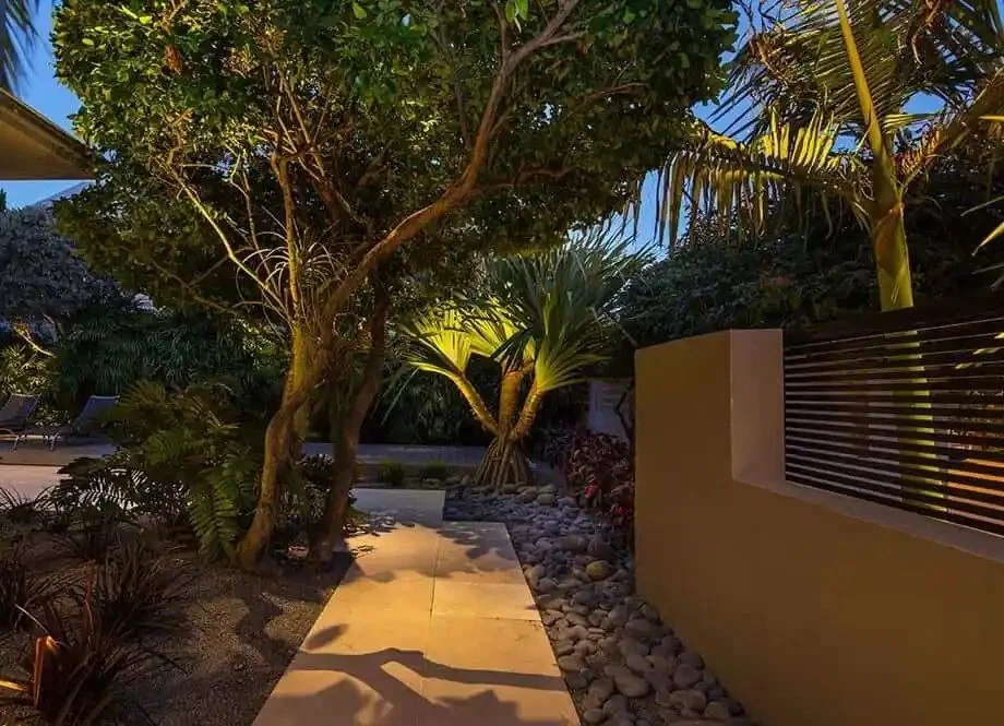 Outdoor lighting project in Greater Tampa Bay by Millennium Lawn, Landscape & Nursery