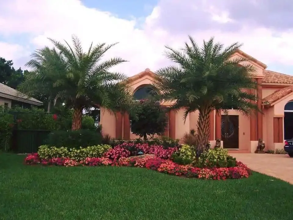 Premium Tampa Bay residential landscape with date palms, vibrant flower beds and a manicured lawn by Millennium