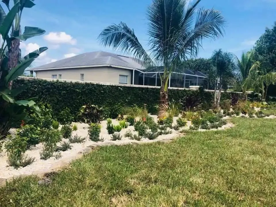Residential landscape project in Greater Tampa Bay by Millennium Lawn, Landscape & Nursery