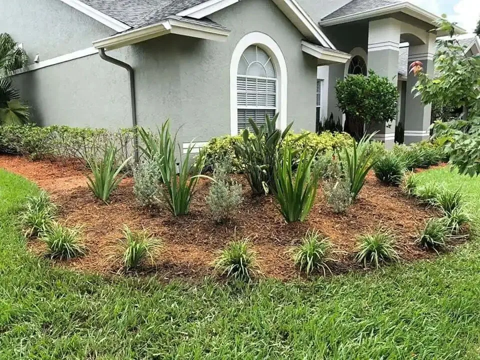Residential landscape project in Greater Tampa Bay by Millennium Lawn, Landscape & Nursery