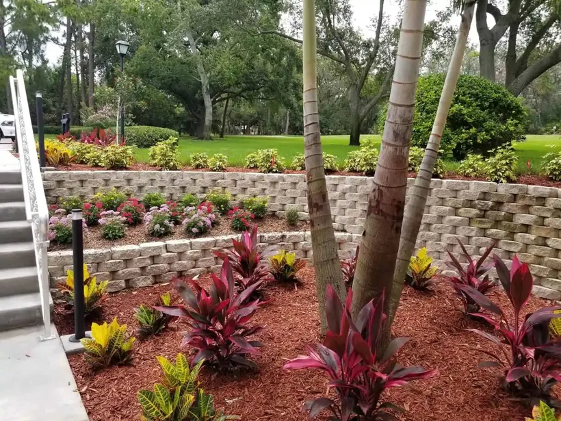 Commercial landscaping with retaining wall, palms and maintained beds