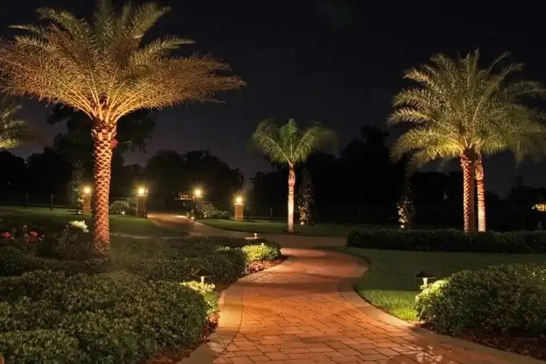 Landscape uplighting on palms and a paver pathway at dusk