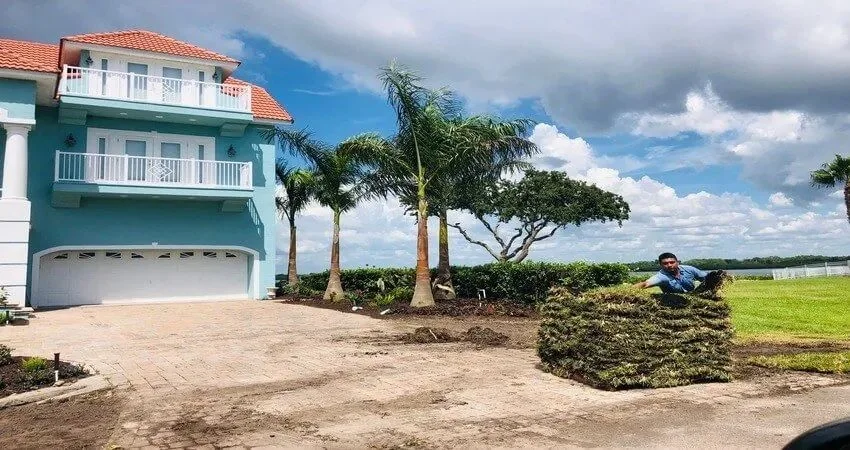 St. Augustine grass Tampa Bay lawn