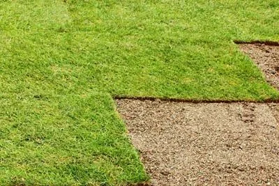 Before and after sod Tampa Bay