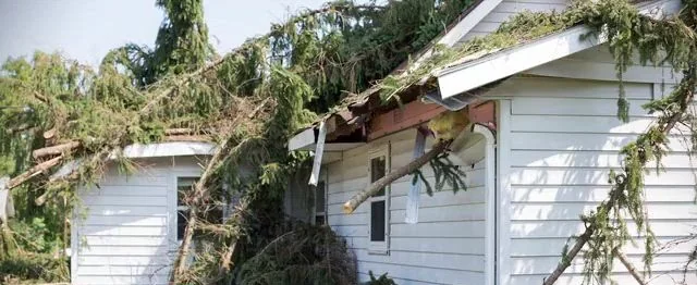 A tree brought down onto a house roof by a storm in Tampa Bay, FL