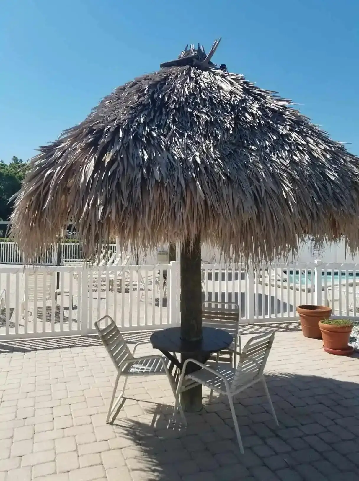 Tiki hut project in Greater Tampa Bay by Millennium Lawn, Landscape & Nursery